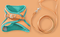 Outdoor Cat Vest Harness & Leash — product view 1